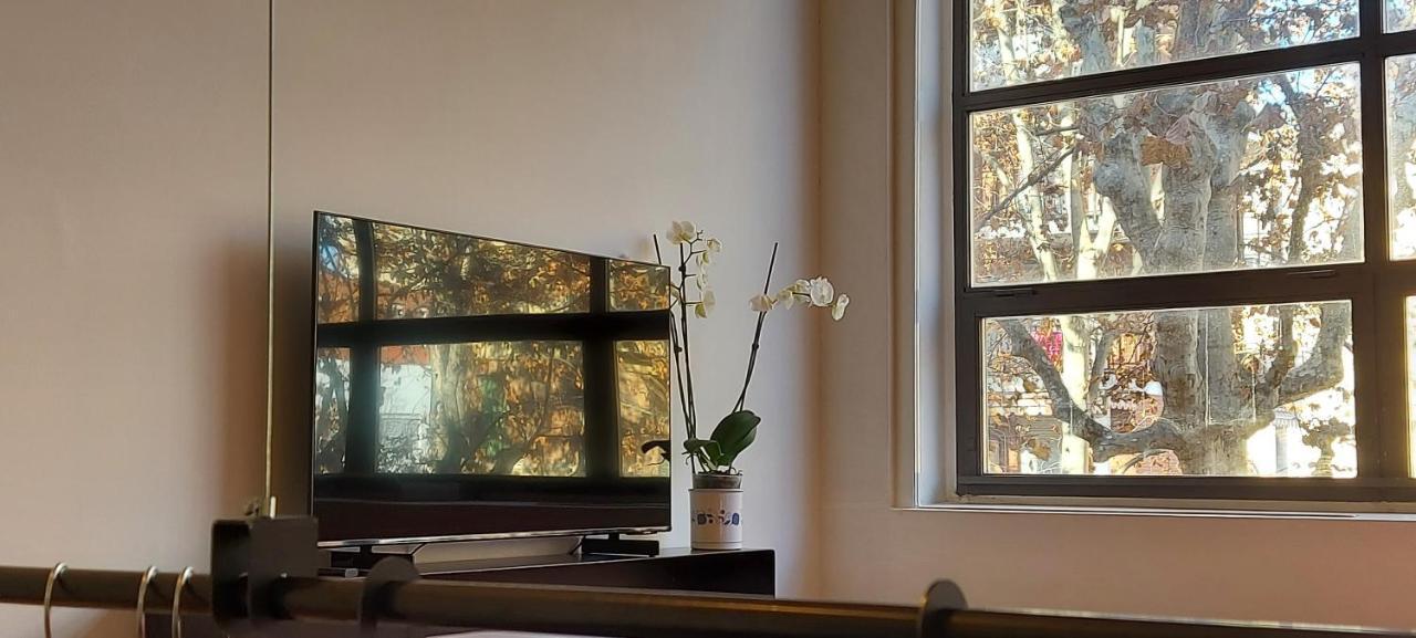 トリノ Loft 19 Bed & Breakfast エクステリア 写真